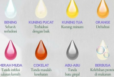 Jangan Abaikan Warna Urine! Ini yang Bisa Diungkap dari Kesehatanmu