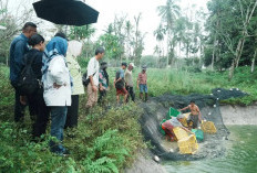 Kakek 81 Tahun Sukses Budidaya Ikan, Panen Capai 15 Ton