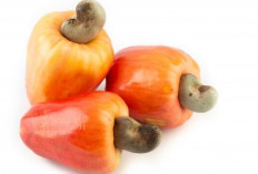 Bukan Skincare Mahal, Kulit Kencang dan Cerah Bisa Didapat dari Buah Ini!