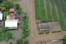 Hujan Deras! 2 Desa di Air Kumbang Dikepung Banjir