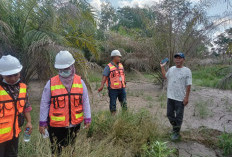  Kebun sawit milik Abdul Manan  tercemar limba disposal PT TBBE