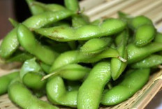 Rahasia Edamame: Kacang Kedelai Muda yang Kaya Nutrisi dan Antioksidan