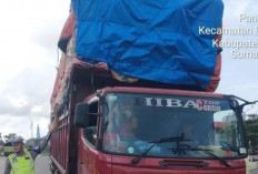 Truk ODOL Nekat Melintas di Jalintim Palembang-Betung, Pengguna Jalan Resah