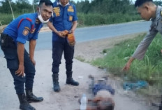 Pria Tanpa Identitas Ditemukan Tak Bernyawa di Gasing Banyuasin