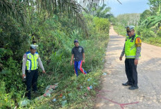 Lakalantas di Biyuku Banyuasin : Polisi Ungkap Kronologi dan Identitas Korban! 