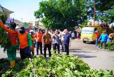 Pj Bupati Sandi Fahlepi, Turun ke Lokasi Tinjau Pohon Tumbang