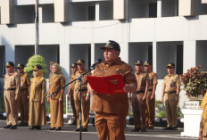 Sekda : Optimalkan Serapan Anggaran dan Realisasi Kegiatan