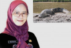 Kisah Dramatis Kadinkes Banyuasin: Terjebak di Sungai Berbuaya dan Hampir Tenggelam