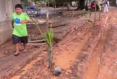 Jalan Rusak Pasca Banjir dan Truk Pasir, Warga Pagar Bulan Protes