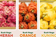 Buah Naga Ternyata Punya Warna Oranye! Ini Bedanya dengan yang Lain