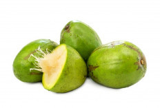 Bukan Cuma Enak untuk Rujak, Kedondong Ternyata Punya Khasiat Dahsyat!