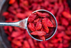 Goji Berry untuk Diet Sehat: Rendah Kalori, Tinggi Nutrisi