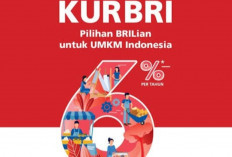 Program KUR BRI: Solusi Finansial Andalan untuk UMKM, Dorong Pertumbuhan Ekonomi Lokal