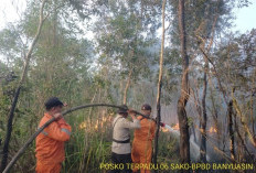 Kebakaran Hutan dan Lahan di Desa Tanjung Merbu, Banyuasin Berhasil Dipadamkan!