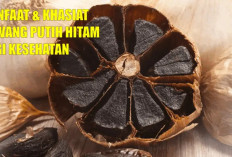 Keajaiban Bawang Putih Hitam: Manfaat dan Khasiatnya untuk Kesehatan