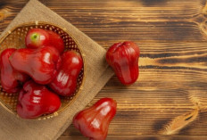 Tak Banyak yang Tahu, Buah Murah Ini Ampuh Tingkatkan Imun dan Sembuhkan Luka Cepat!