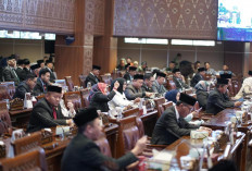 Pemprov  dan DPRD Sumsel Sepakati Rancangan Awal RPJMD 2025–2029