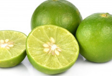 Tak Disangka, Buah Asam Ini Bisa Hancurkan Calon Batu Ginjal di Tubuh!