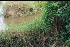 Normalisasi Sungai di Talang Kelapa Dimulai, 50 KK Terdampak Banjir Diharapkan Terbantu