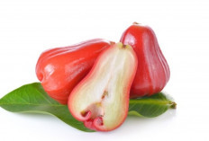 Sering Diabaikan, Buah Ini Ternyata Pelindung Alami dari Serangan Jantung!