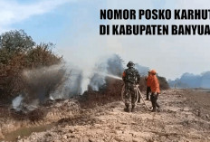 PENGUMUMAN ! Terjadi Karhutla di Wilayah Kabupaten Banyuasin, Hubungi 7 Posko Ini !