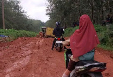 Kisah Miris Guru Mengajar di Pelosok Desa Kecamatan Rantau Bayur