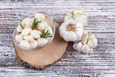 Bawang Putih, Antibiotik Alami yang Ampuh! Ini Khasiatnya untuk Kesehatan