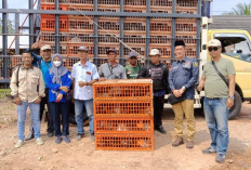 Ketua DPRD Banyuasin Serahkan Bantuan Ayam Kampung untuk Masyarakat