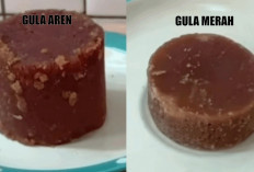 Manfaat Kesehatan Gula Merah dan Gula Aren: Pemenangnya Siapa?