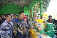 Pj Bupati Himbau Masyarakat Manfaatkan  Lahan Kosong 