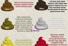 Jangan Abaikan Warna Feses! Cek Kondisi Tubuh Lewat Tanda Ini