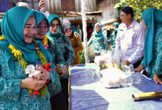 Kunker ke Empat Lawang, Pj Ketua TP PKK Sumsel: Manfaatkan Potensi Ikan Sumber Protein Keluarga