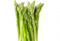 Asparagus dan Detoksifikasi Tubuh: Khasiat, Kandungan, dan Manfaatnya