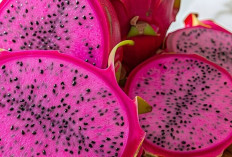 Kulit Buah Naga Merah Mengandung Antosianin dan Flavonoid, Ini Khasiatnya