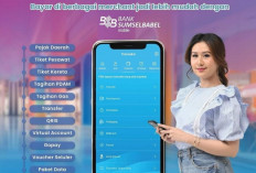 BSB Mobile Permudah Pembayaran Pajak Daerah dan Tagihan Bulanan