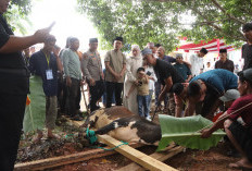 Polres Banyuasin Rayakan Idul Adha 1446 H dengan Sembelih 19 Hewan Kurban, Kapolres: Momentum Perkuat Iman