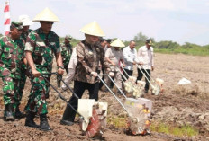 Wabup Banyuasin dan Danrem O44/Gapo Tanam Padi Gogo