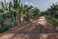 Jalan Amblas Diperbaiki, Aktivitas Masyarakat Kembali Lancar