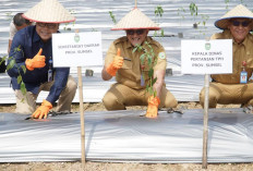 Launching Gerakan Tanam Cabai dan Bawang Merah Serentak, Komitmen Serius Pemprov Sumsel Tekan Inflasi