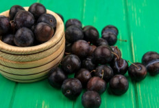 7 Manfaat Buah Jamblang yang Bikin Kamu Menyesal Baru Tahu Sekarang!