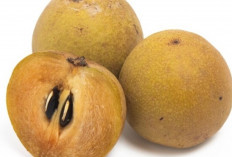 Bukan Jeruk! Buah Lokal Ini Ternyata Kaya Vitamin C dan Ampuh Tangkal Flu