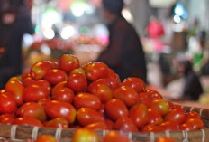 Makan Tomat Setiap Hari? Begini Efek Dahsyatnya untuk Jantung Anda!