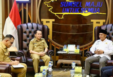 Sukseskan Program Prioritas, Pemprov Sumsel Gandeng DPD APDESI Sumsel