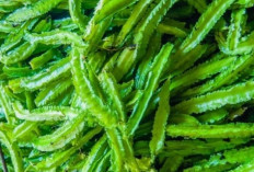 Kecipir, Lalapan Murah Meriah dengan Segudang Nutrisi