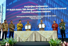 PT SMS Jalin Kerjasama dengan PTBA, Wujudkan Program Penguatan BUMN-BUMD