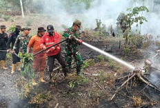 Karhutla Hanguskan 15 Hektare Lahan di Talang Kelapa, Banyuasin, Ancam Bandara