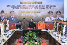 Kolaborasi Tangguh Hadapi Karhutla, Wagub Sumsel Ajak Semua Pihak Bersatu