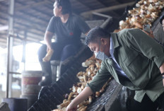 Penguatan Ekonomi Tak harus Bergantung Anggaran