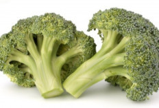 Rahasia Kesehatan Tersembunyi di Brokoli: Kaya Sulforaphane dan Pelindung Mata Alami!