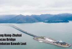 Hong Kong-Zhuhai-Macau Bridge, Jembatan Bawah Laut Terpanjang di Dunia